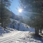 Jasmin * نيوستيف ام ستوبيتا